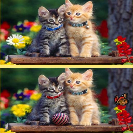 Spot Differs game cover